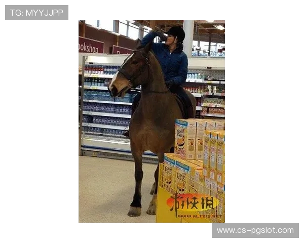 奇葩汉字王我不是细狗游戏挑战你的汉字知识极限，探索文字的无限可能